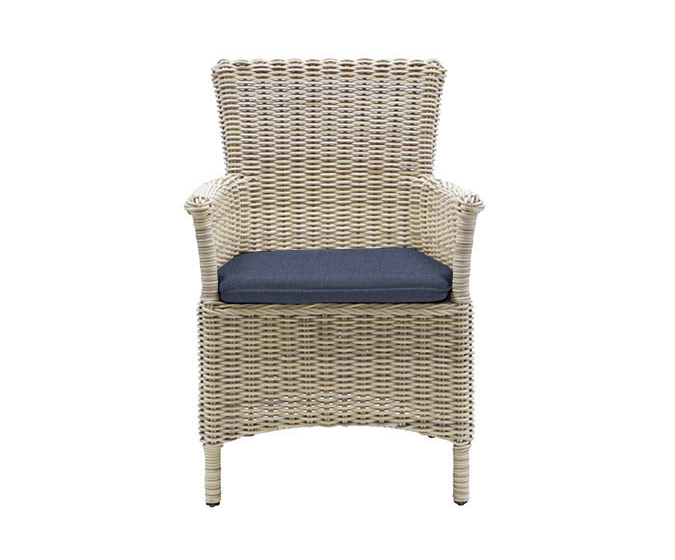 Auckland Carver Dining Chair by Daro